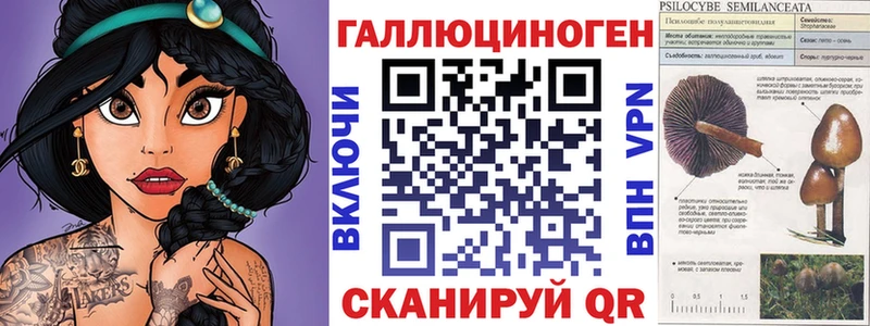 Галлюциногенные грибы GOLDEN TEACHER  Петровск-Забайкальский 